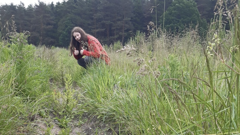 Kind am Feld, Pflanzung von jungen Lärchen